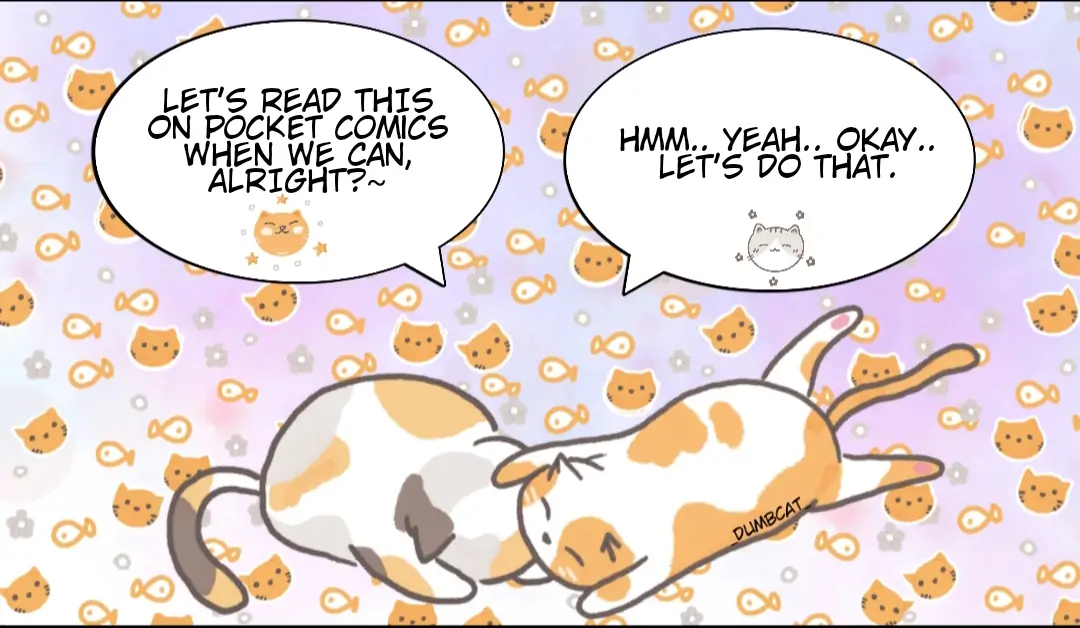 36061255 1080 628 52792